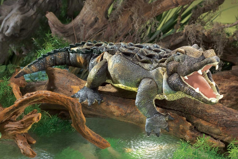Crocodile / Alligator Puppet - Folkmanis