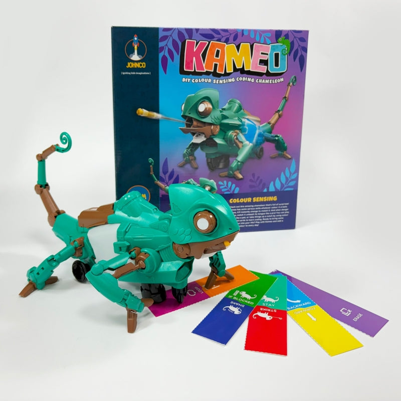Kameo DIY Colour Coding Chameleon