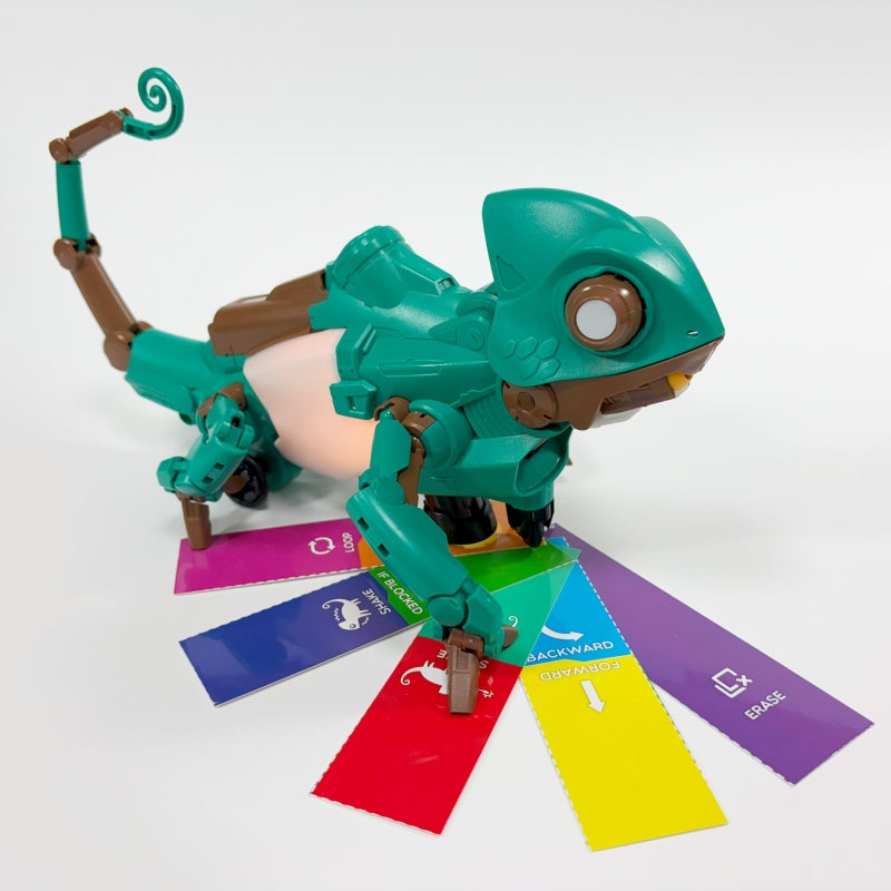 Kameo DIY Colour Coding Chameleon