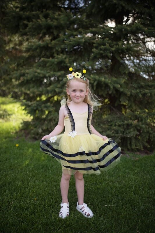 Bumble Bee Dress with headband Size 3-4 - Great Pretenders