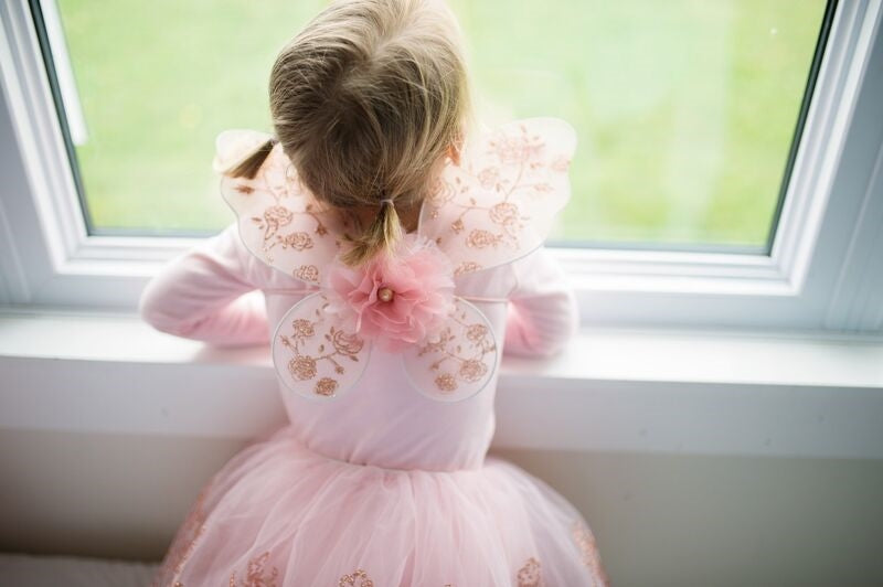 Rose Gold Tutu & Wings Set size 4-6 - Great Pretenders