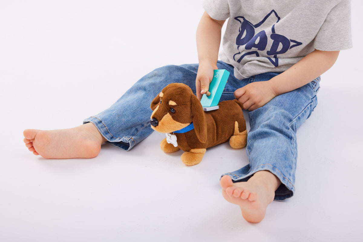 Puppy Care Clinic Vet Set - Hape