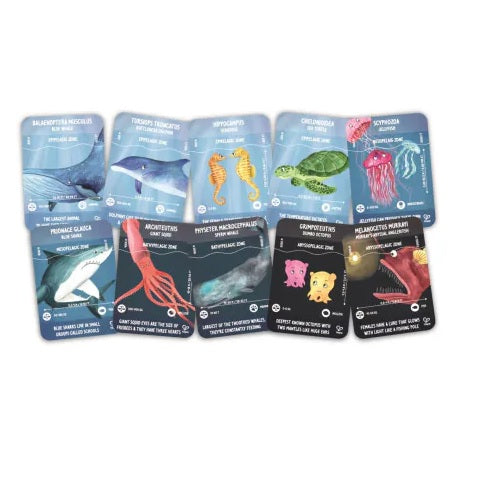 Ocean Life 200pc Puzzle 1.5m long Glow in Dark - Hape