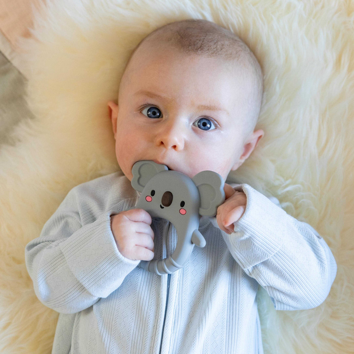 Koala Silcone Teether - Tiger Tribe