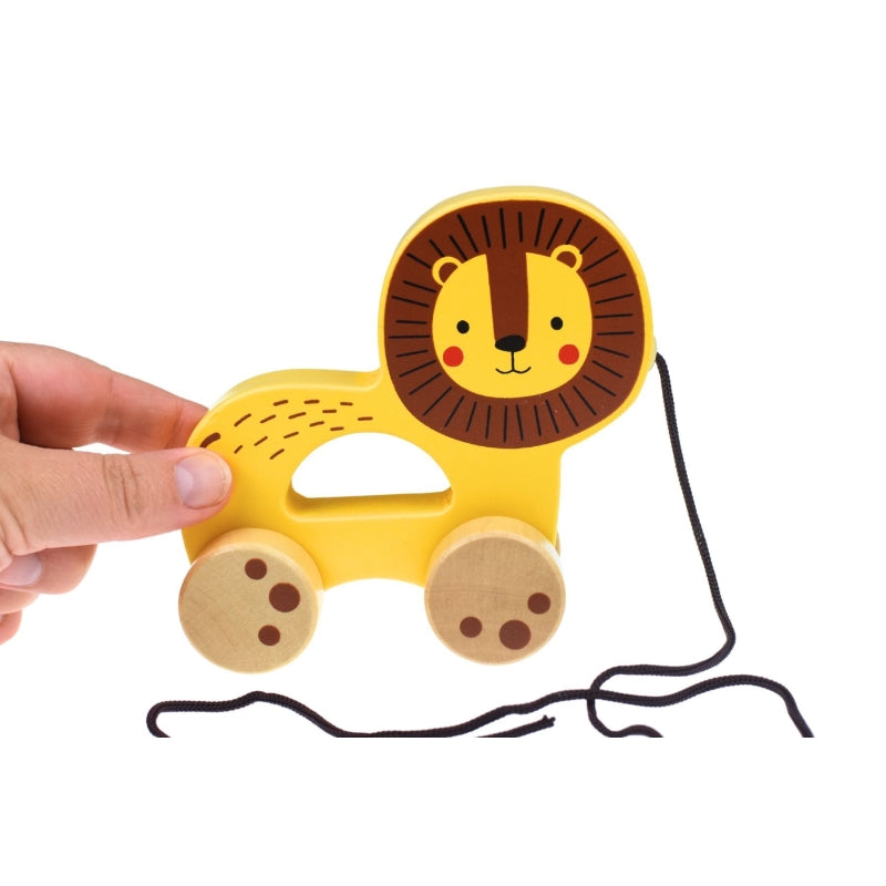 Pull Along Lion - Tooky Toy