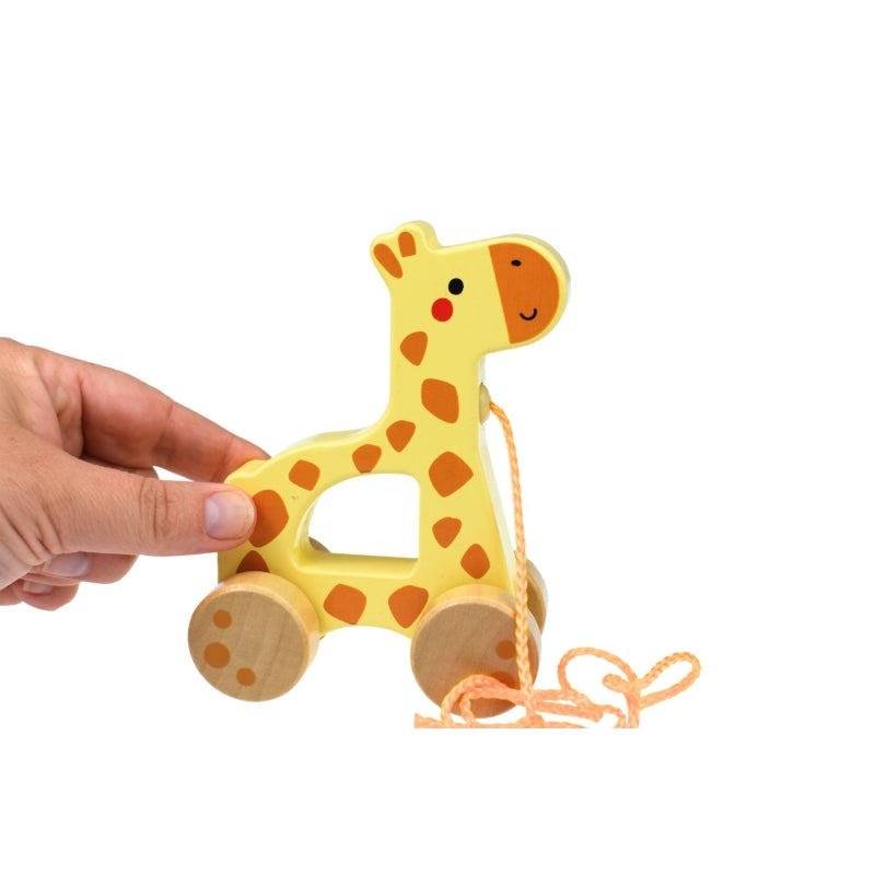 Pull Along Giraffe - Tooky Toy
