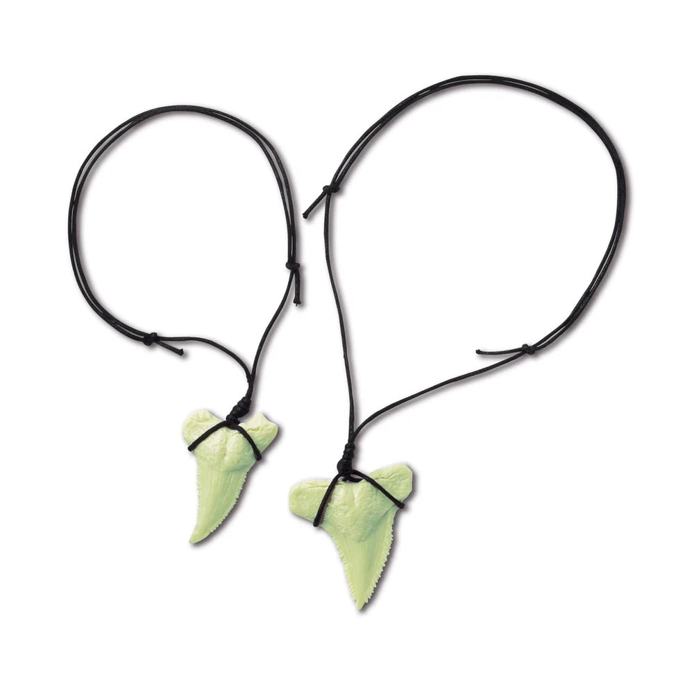 Shark Tooth Fossil Dig Glow Kit - Kidzlabs
