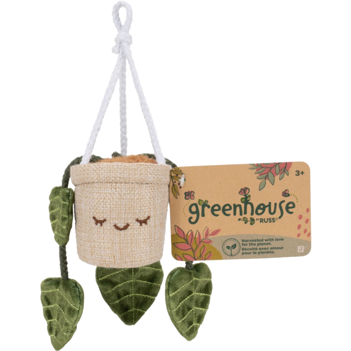 Adela Plush 4" Hanging Plant - Greenhouse