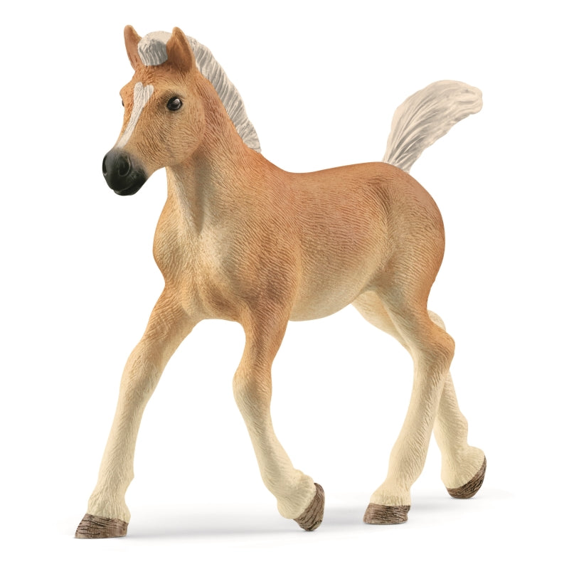 Haflinger Foal - Schleich