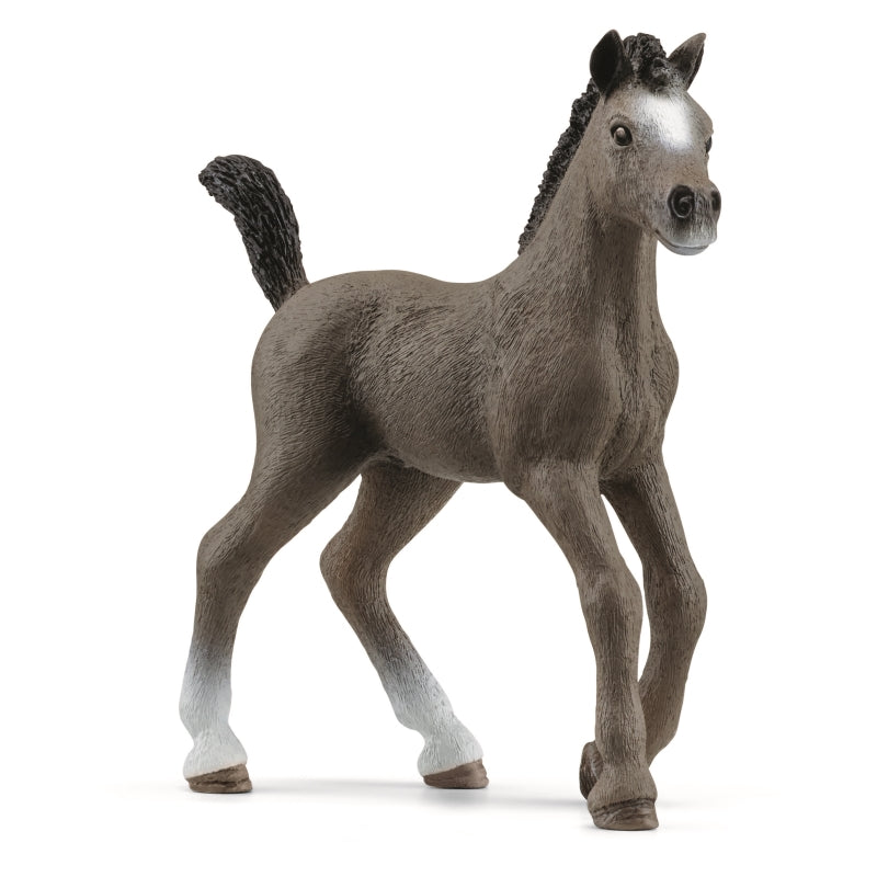 Selle Francais Foal - Schleich