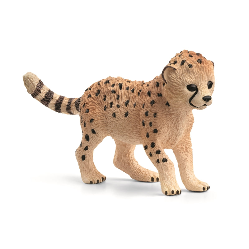 Cheetah cub baby