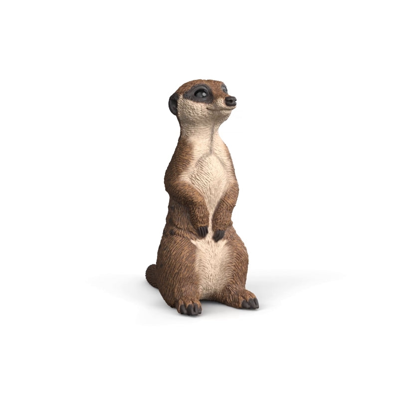 Meerkat - Schleich