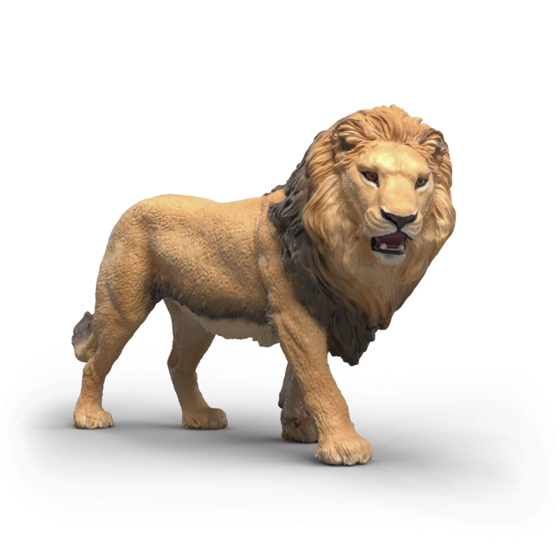 African Lion - Schleich