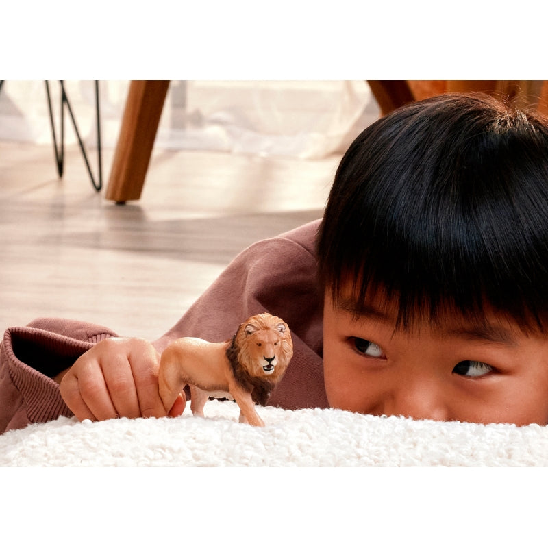 African Lion - Schleich