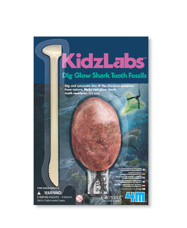 Shark Tooth Fossil Dig Glow Kit - Kidzlabs