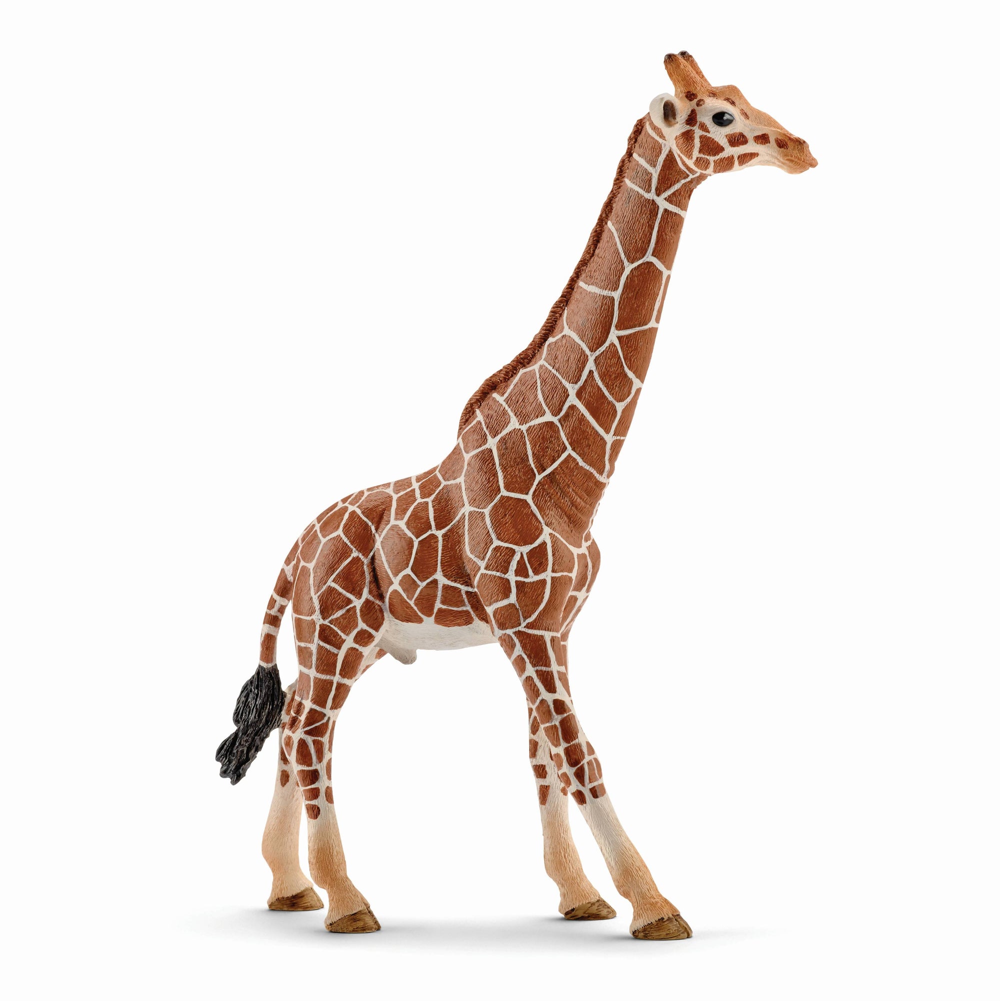 Giraffe Male - Schleich
