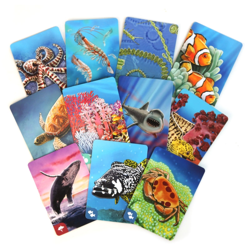 Ecosystem Coral Reef