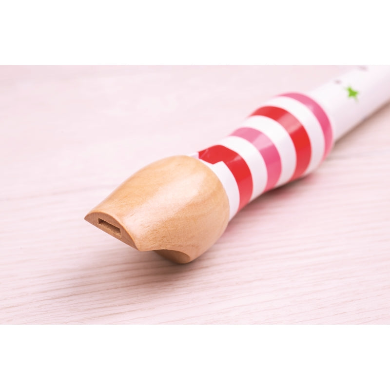Recorder - Bigjigs