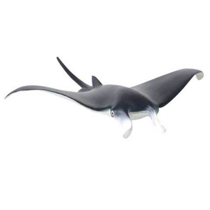 Manta Ray - Collecta