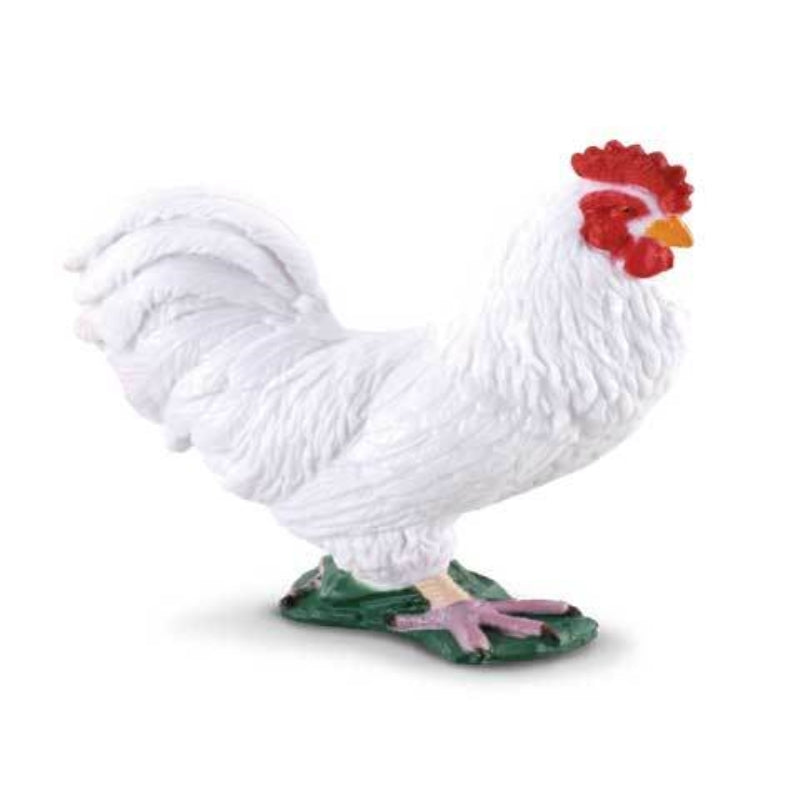 Cockerel White - Collecta