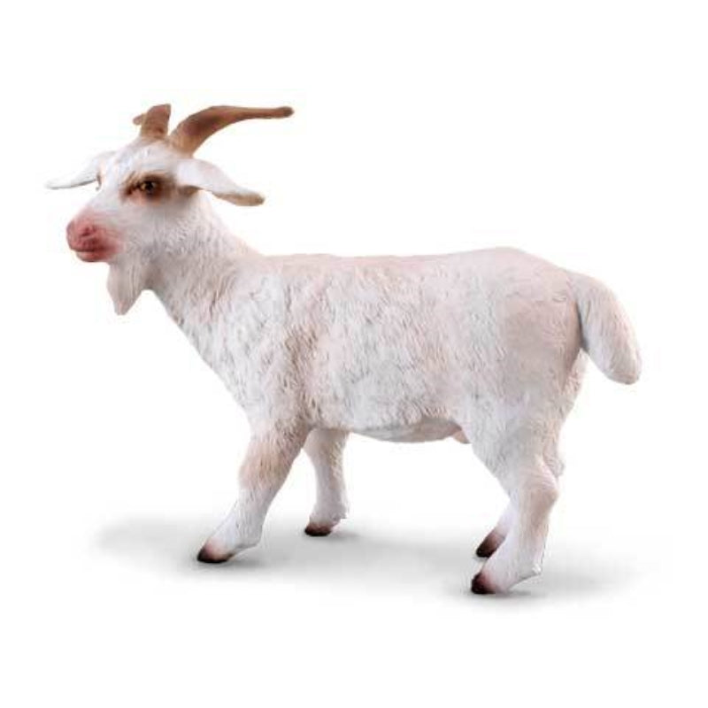 Billy Goat - Collecta