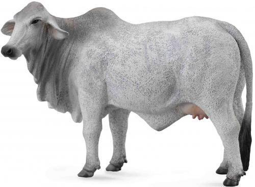 Brahman Cow Grey - Collecta