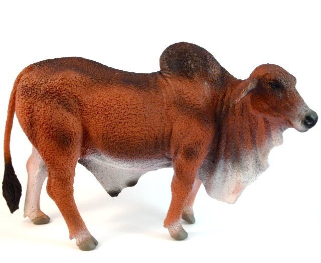 Brahman Bull Red - Collecta