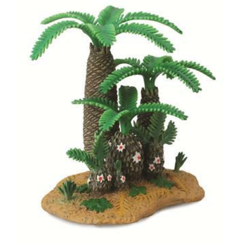 Monanthesia &amp; Cycadeoidea - Collecta