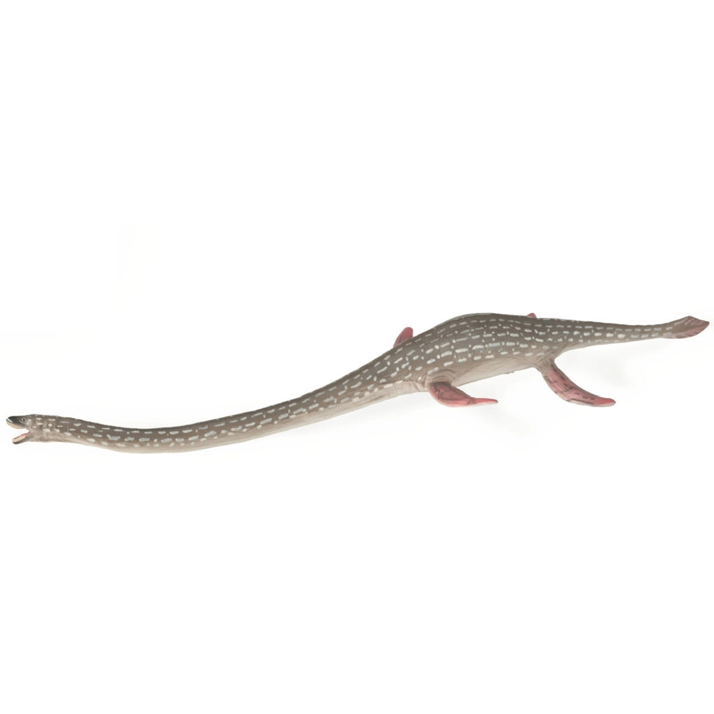 Elasmosarus - Collecta