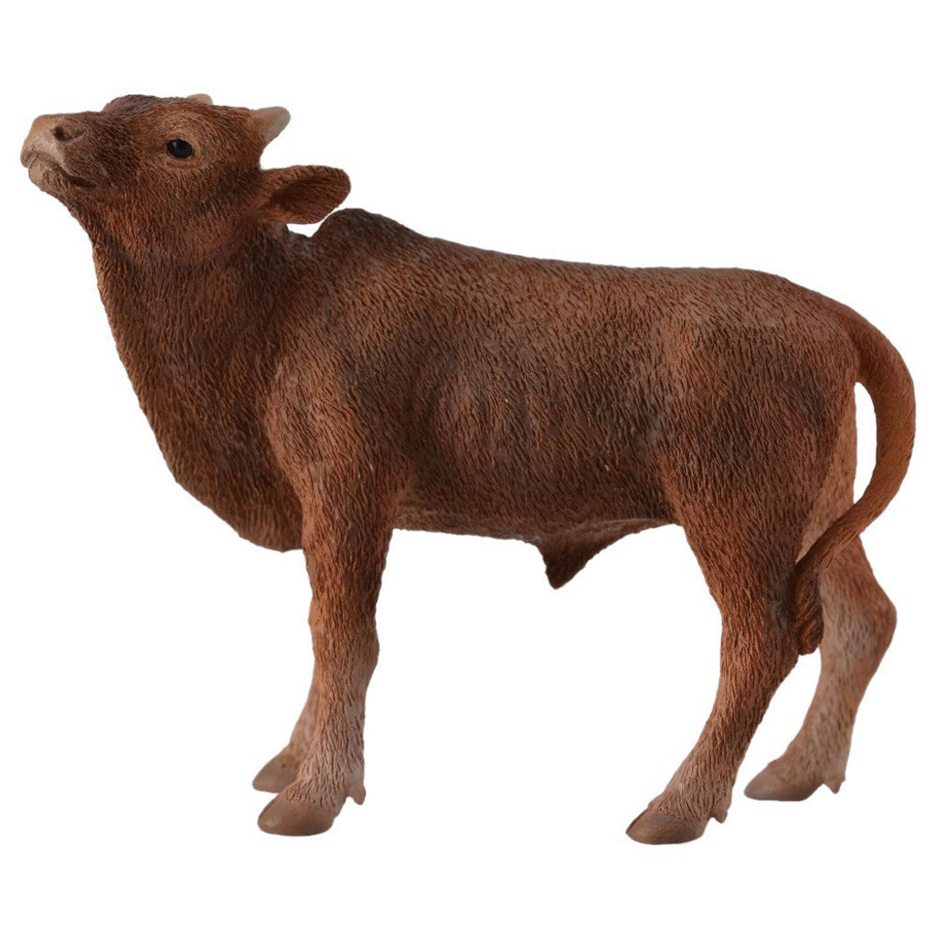 Ankole-Watusi Calf - Collecta