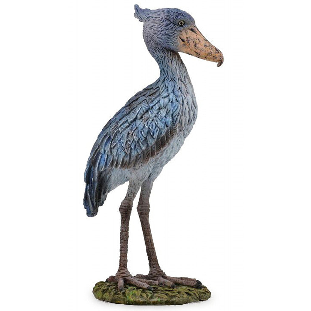 Shoebill Collecta