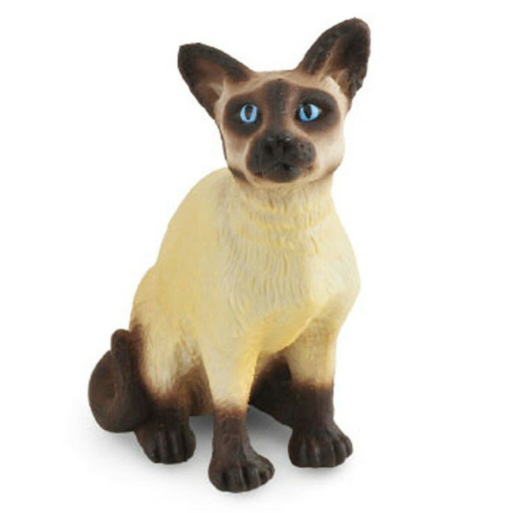 Siamese Cat Sitting - Collecta