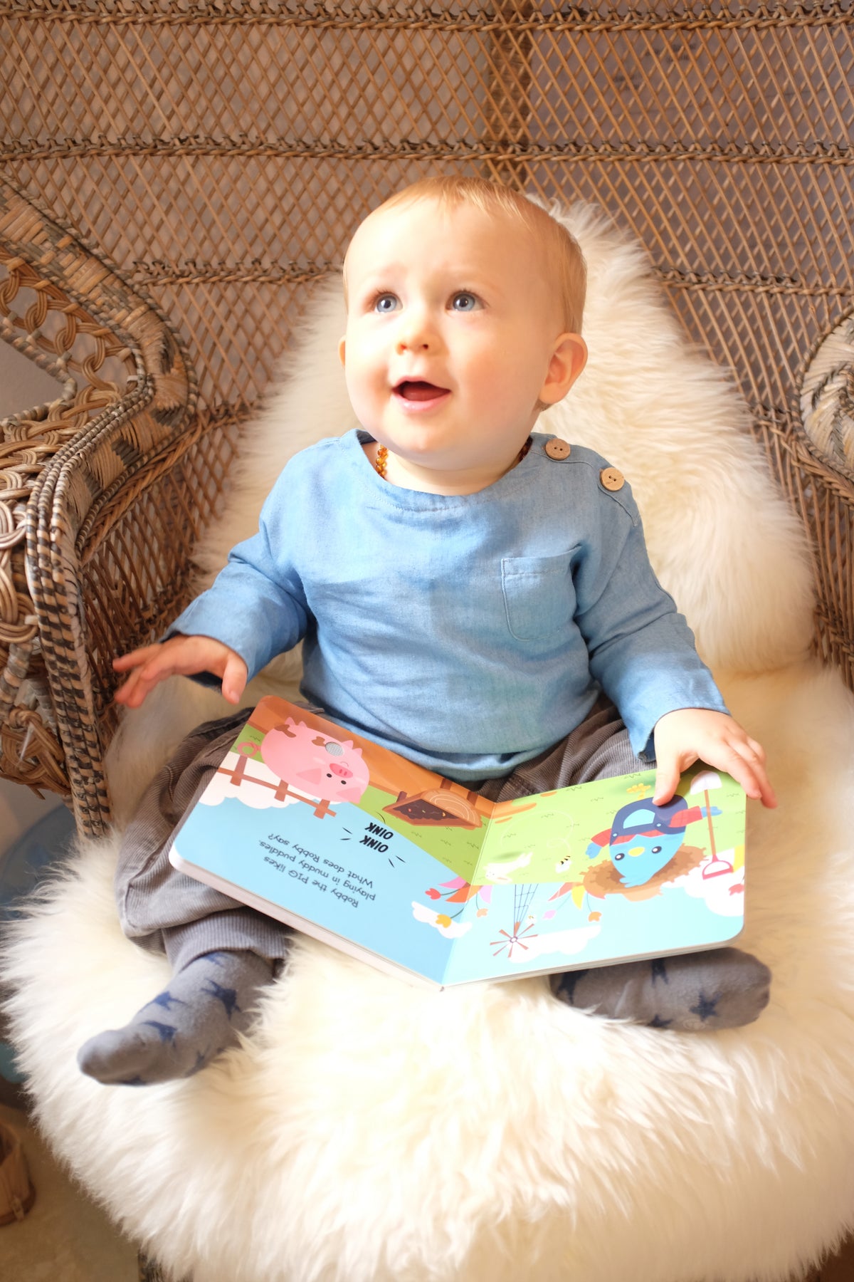 Farm Animals Sound Book - Ditty Bird