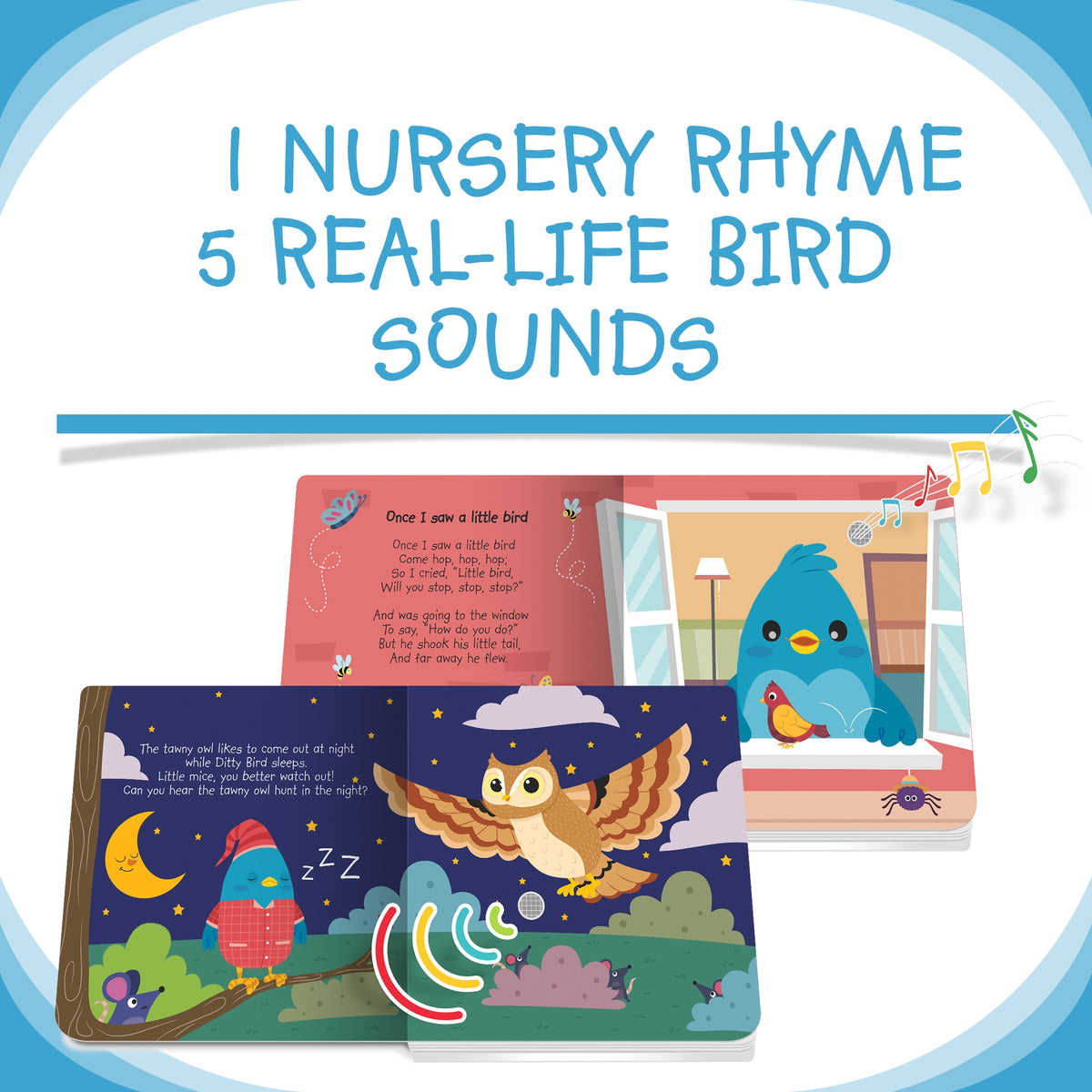 Bird Songs Sound Book - Ditty Bird