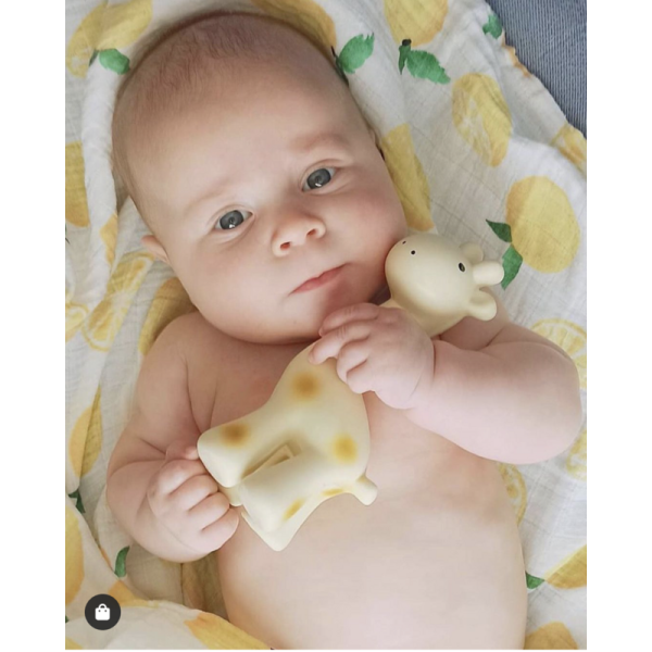 Giraffe My First Zoo Rubber Animal - Tikiri