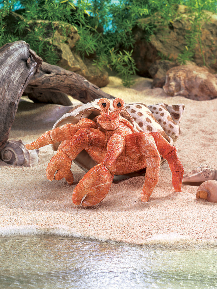 Hermit Crab Puppet - Folkmanis