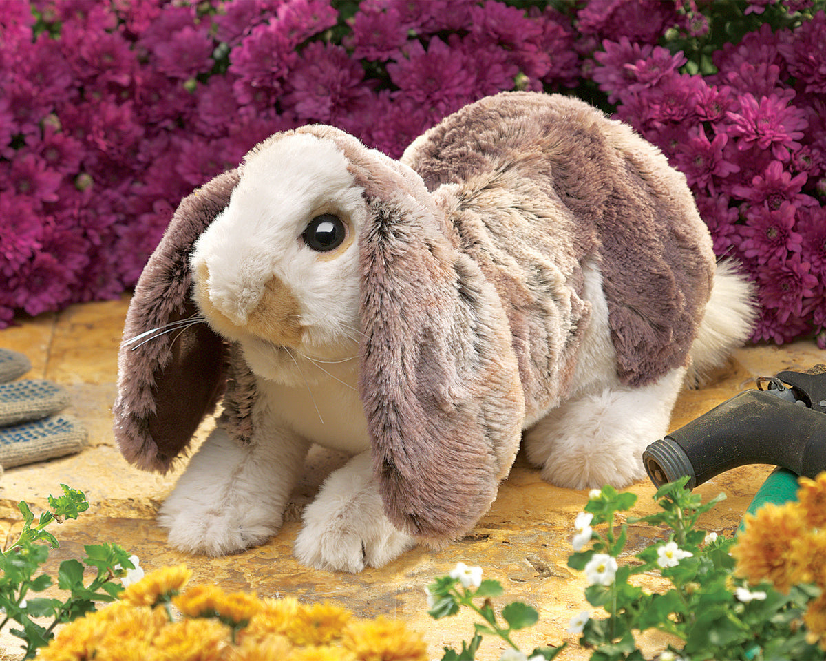 Baby Lop Rabbit Hand Puppet - Folkmanis