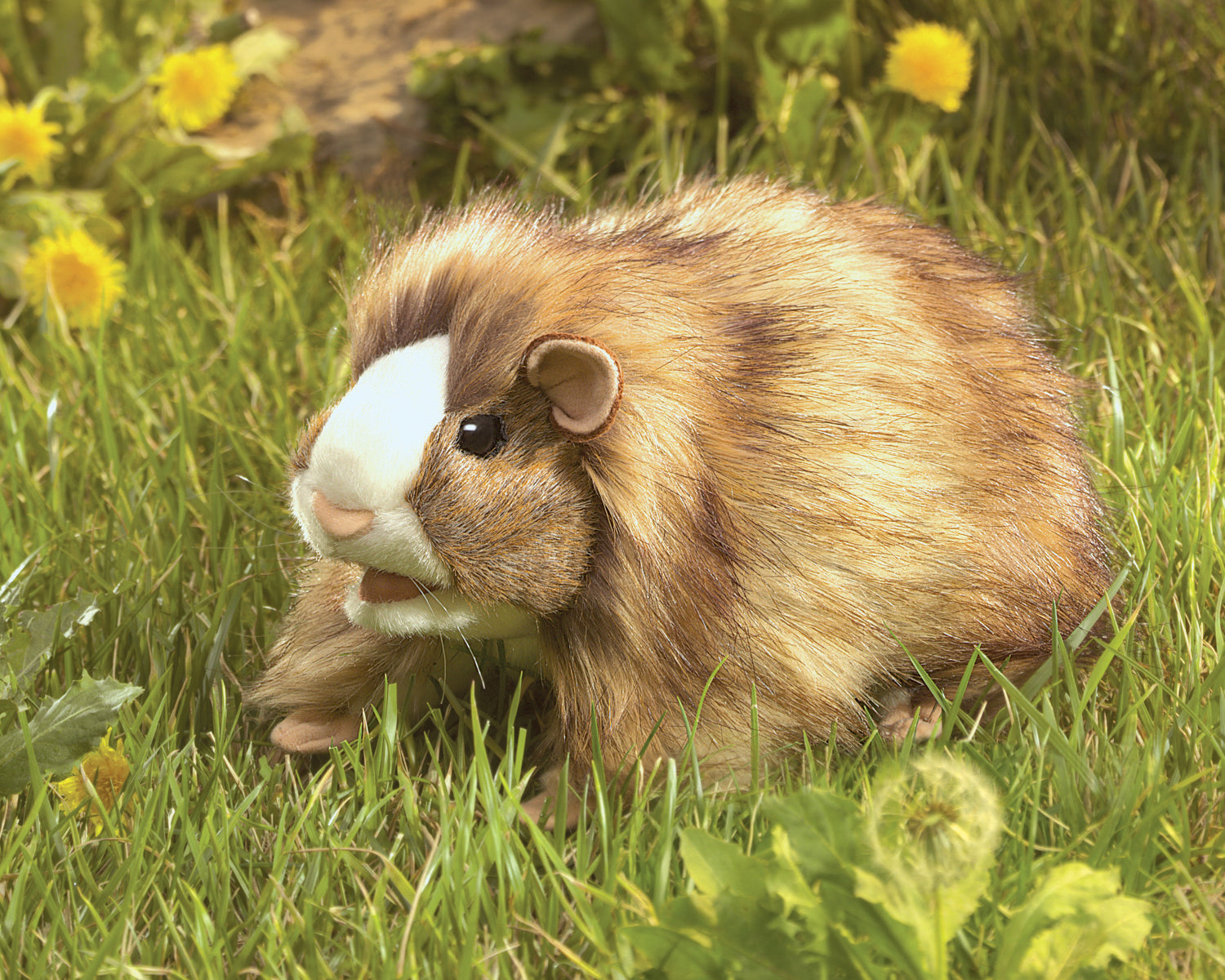 Domestic Guinea Pig Hand Puppet - Folkmanis