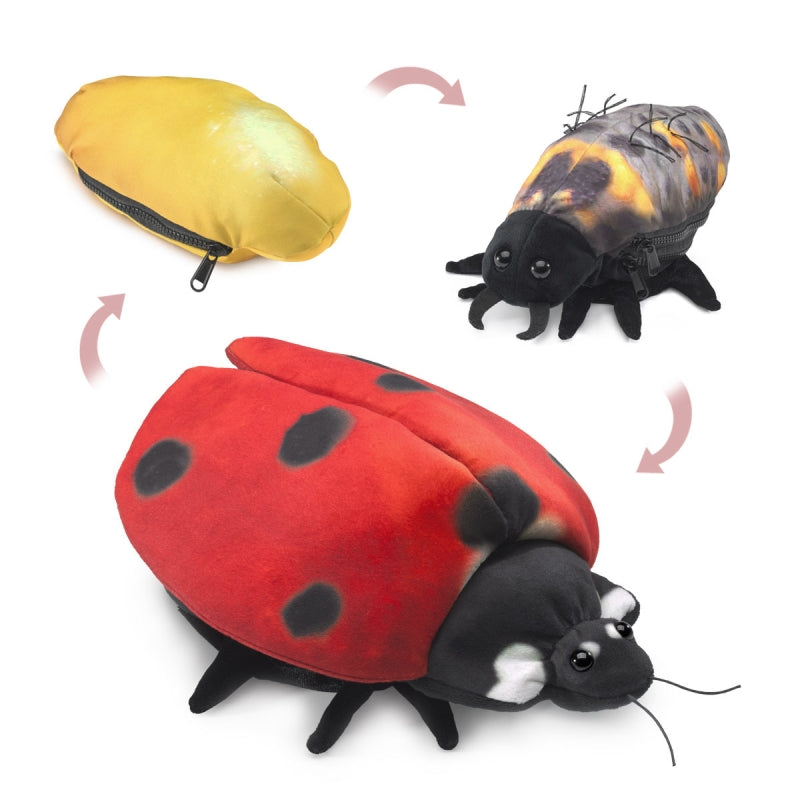 Ladybug Life Cycle Reversible Puppet - Folkmanis