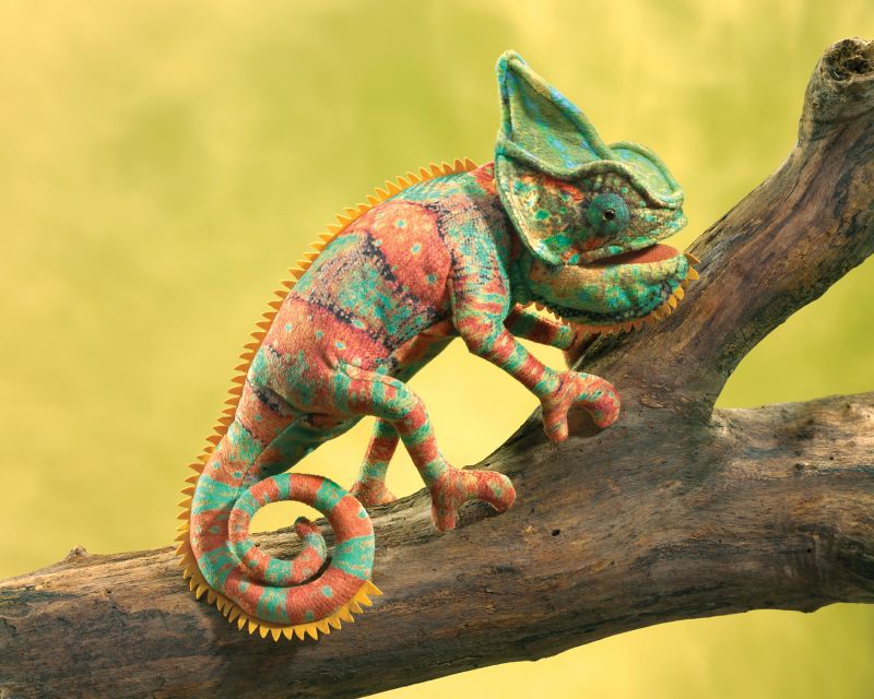 Small Chameleon Hand Puppet - Folkmanis