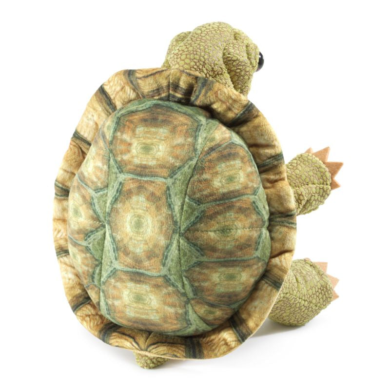 Tortoise hand deals puppet