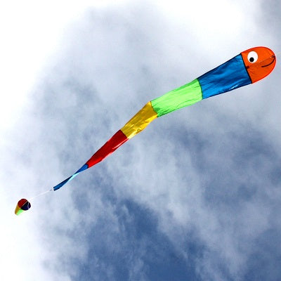 Wilma the worm - Windspeed