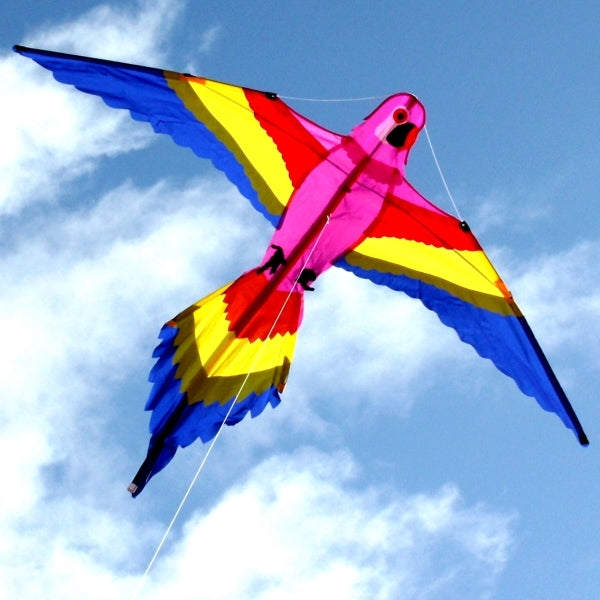 Lorikeet Kite - Windspeed