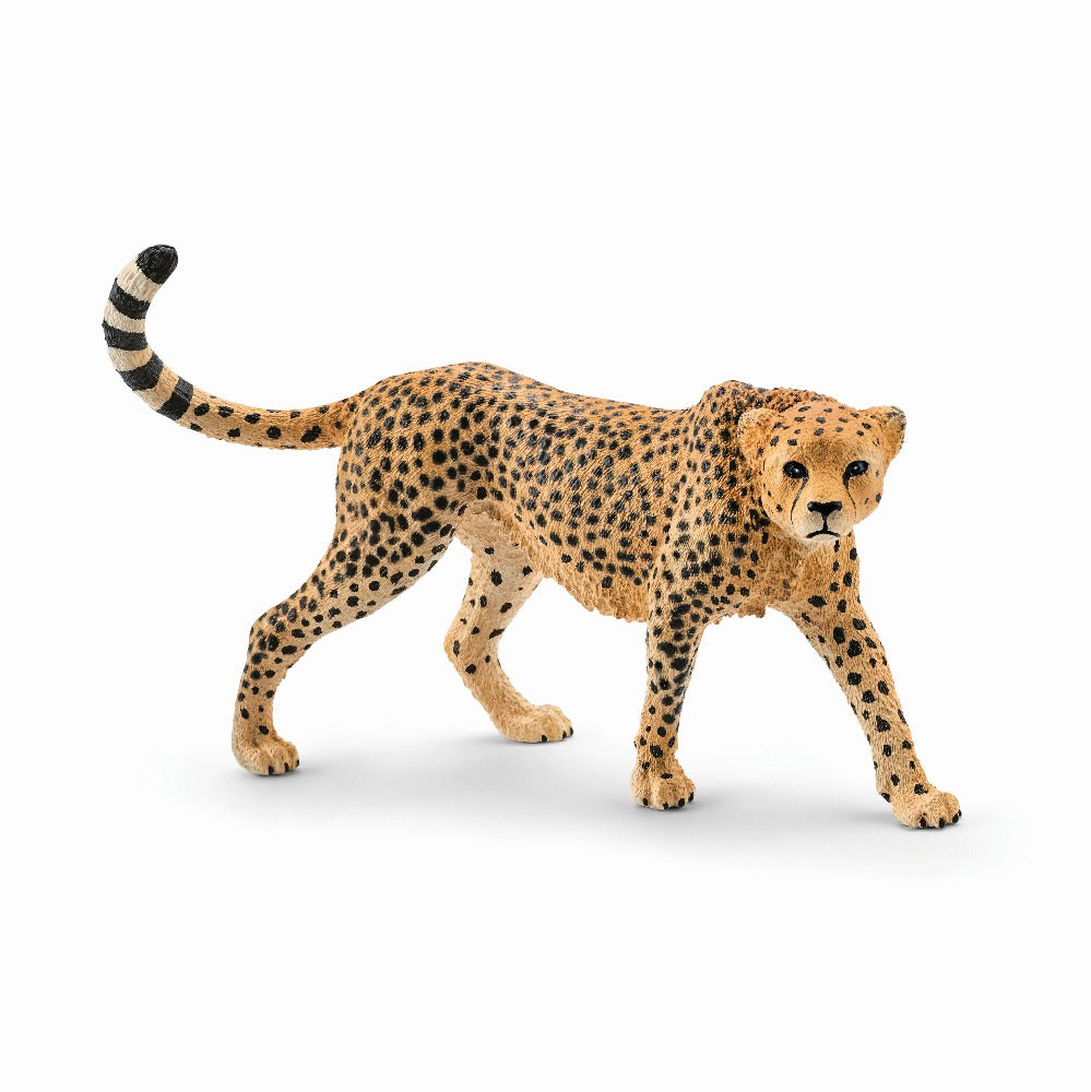 Cheetah Female - Schleich