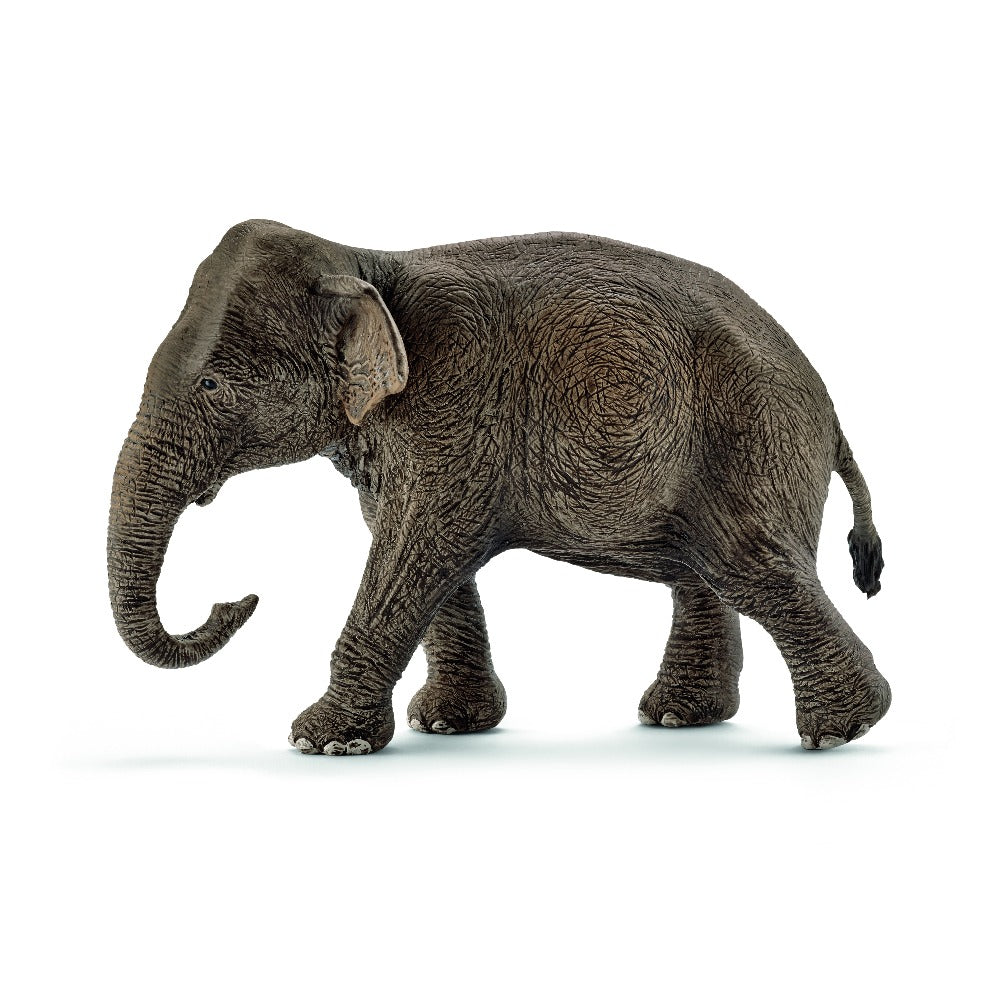 Asian Elephant Female - Schleich