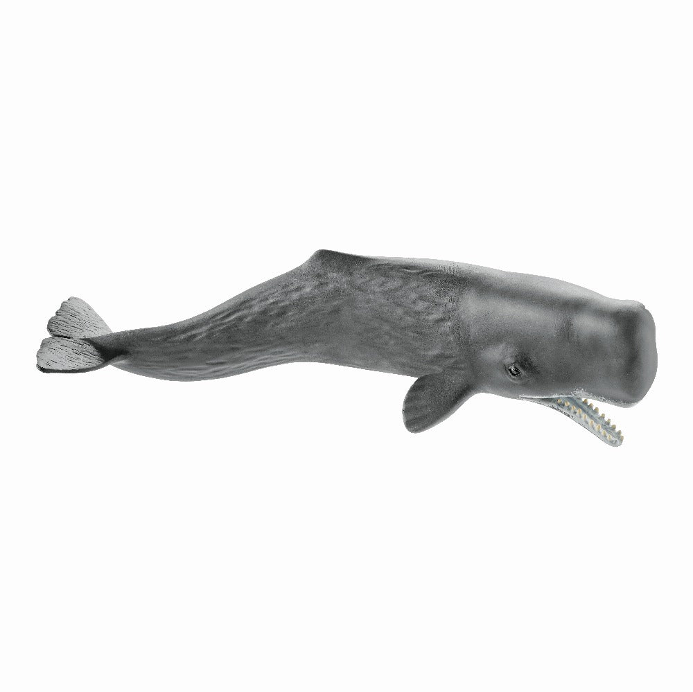 Sperm Whale - Schleich