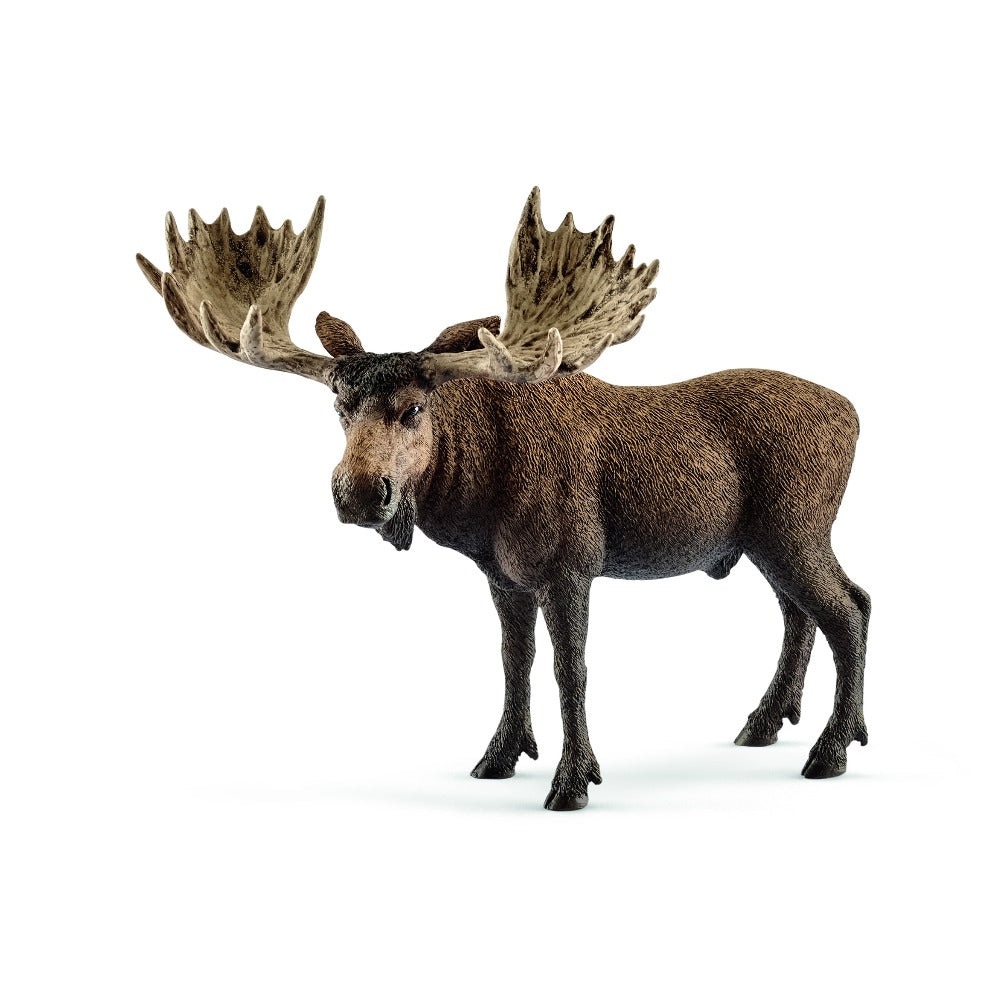 Moose Bull - Schleich