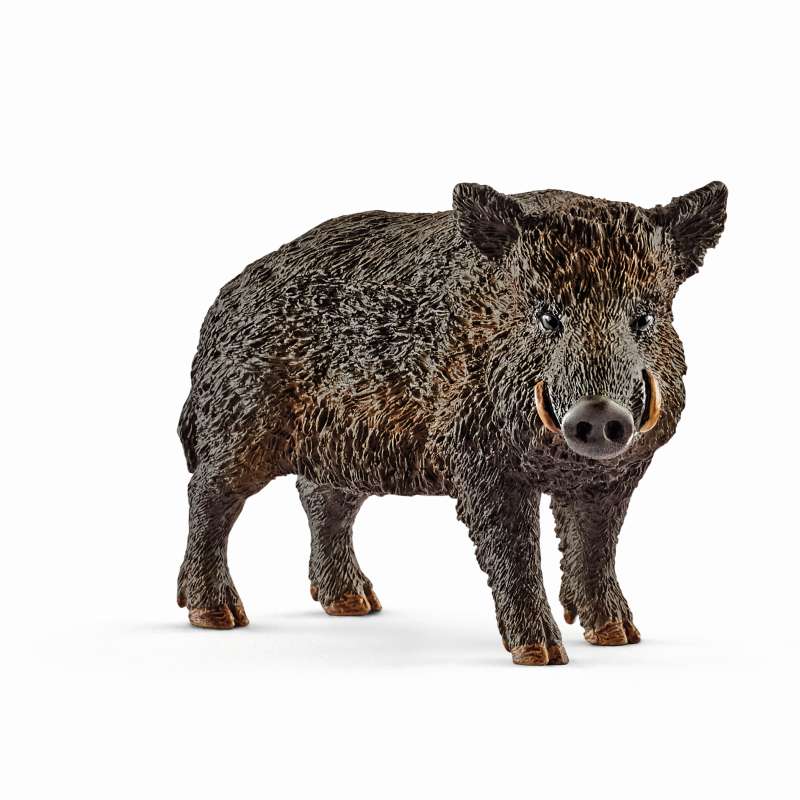 Wild Boar - Schleich