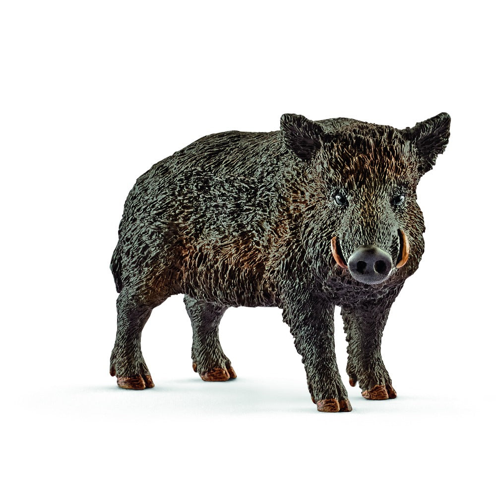 Wild Boar - Schleich
