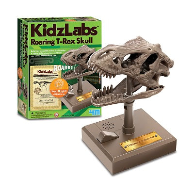 Roaring T Rex Skull kidzlabz - 4m